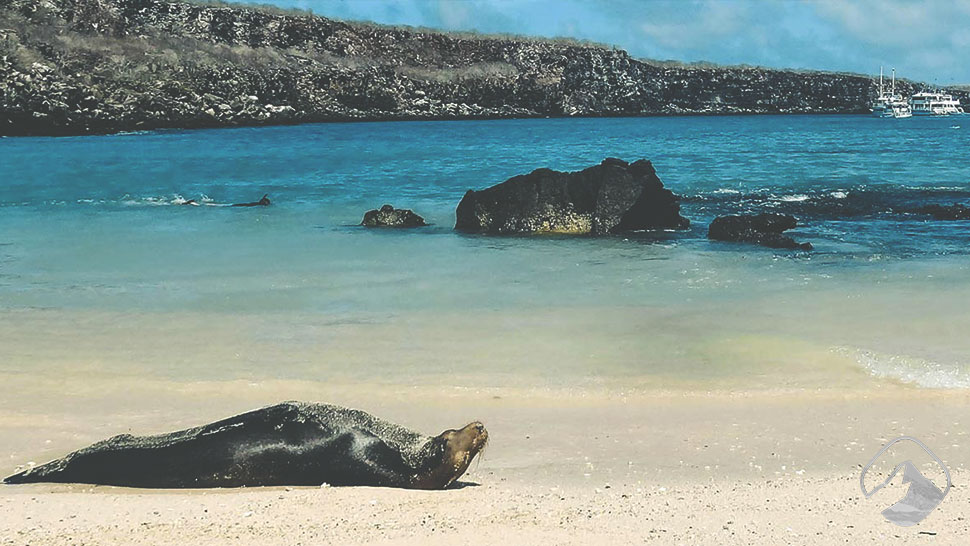 Active Galapagos Islands Land Tours