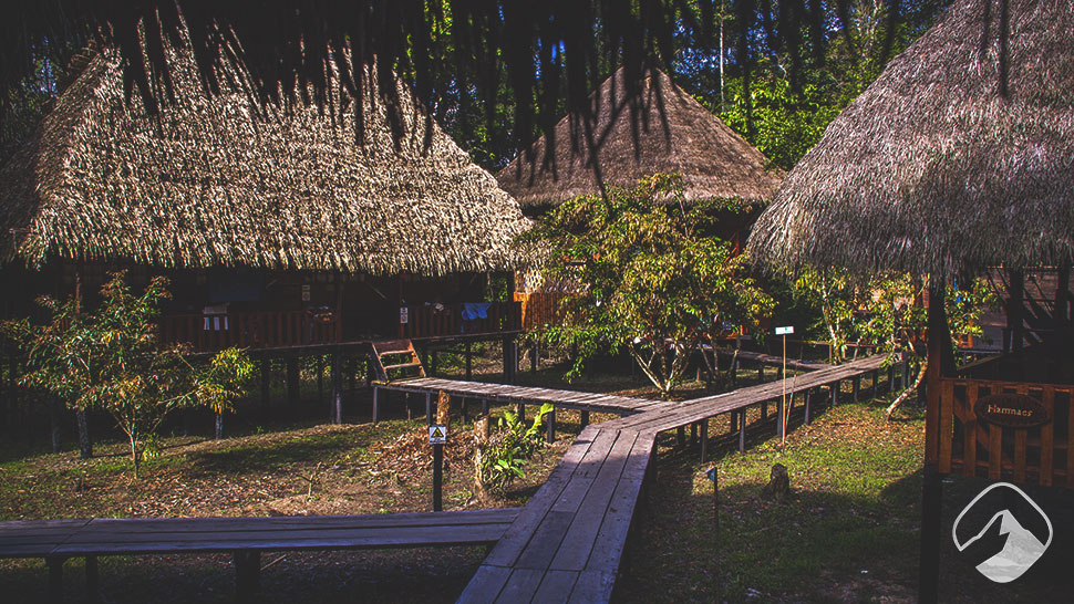 Tour Cuyabeno Ecuador Amazon Eco Lodge