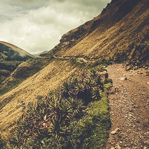 Chemin Inca Équateur Trek le plus célèbre